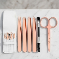 Ensemble de pinces à sourcils