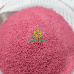 Vendita calda acqua 100% Solubled melograno naturale succo di frutta in polvere di melograno in polvere - Product Image 2