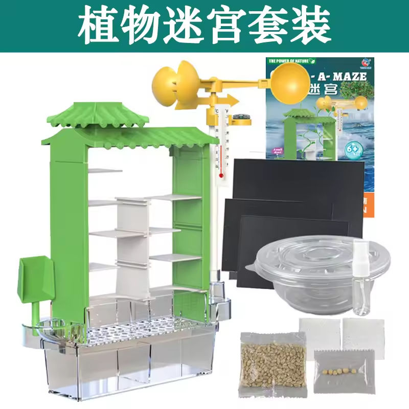 ชุดเขาวงกตต้นไม้