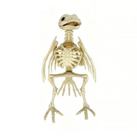 Ornement squelette de corbeau mobile, statue d'oiseau effrayant en os pour décoration d'Halloween, de jardin, de cimetière ou de patio