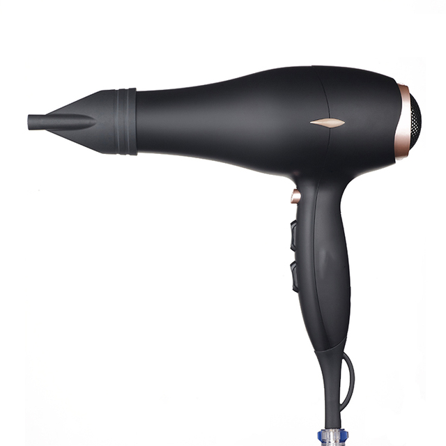 Professional DC Ionic Hair Dryer with Concentrator Nozzle 1700W-2000W for Home & Hotel Use-China Manufacturer OEM