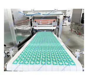 Machine de fabrication de dosettes de détergent à lessive multi-cavités en film PVA soluble dans l'eau à grande vitesse