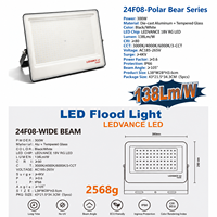 Projecteur LED KCD Sports 300W pour stade de football et terrain, réflecteur paysager IP65