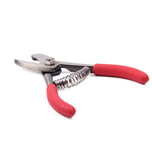 Ciseaux <span class=keywords><strong>de</strong></span> <span class=keywords><strong>cueillette</strong></span> en acier au carbone pour agrumes, outils <span class=keywords><strong>de</strong></span> jardinage pour oranges, citrons, raisins, vergers - Product Image 6