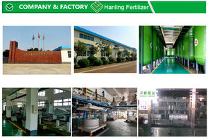 Gelişmiş bitki büyümesi için bitki kaynağı Chelated kalsiyum Amino asitten % tarım gübresi - Product Image 2