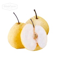Groothandelsprijs Verse Peren Chinese Leverancier Import Bulk Peren Nieuwe Oogst Export