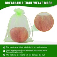 Organza Groen Fruit Bescherming Anti Insectennet Zak Fruitbomen Fruit Cover Netzak Met Trekkoord