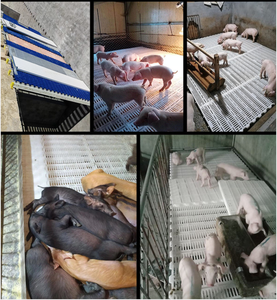 พื้นฟาร์มแบบมีร่องสำหรับ<span class=keywords><strong>แพะ</strong></span>ที่ได้รับการรับรองมาตรฐานความปลอดภัยด้าน<span class=keywords><strong>อาหาร</strong></span>และเป็นมิตรต่อสิ่งแวดล้อม แผ่นพื้นฟาร์มแบบประกบกันได้ พื้นพลาสติกสำหรับเลี้ยงสุกร - Product Image 3