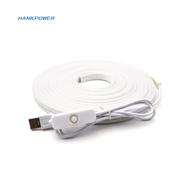 USB With Switch Neon LED Cable 5V USB Low Voltage Lamp Bar With 501 Button Switch for Picture Frame