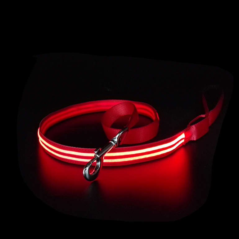 Nuovo arrivo illumina il guinzaglio per cani Led illuminante Led Dog Nylon Pet riflettente ricaricabile guinzaglio per cani a Led con Led