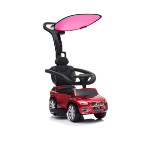 Coches de empuje para niños, con mango y Capon - Product Image 6