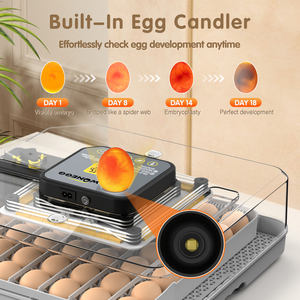 WONEGG Top Venta Humidificador para 48 Incubadora de huevos Huevos de pollo Incubadoras de huevos solares para pollos - Product Image 3