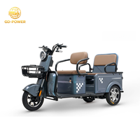 Tricycle électrique d'usine pour personnes âgées avec moteur 800W Batteries 48V Véhicule électrique à 3 roues pour une utilisati