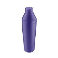 Accessoires de bar en acier inoxydable au design élégant minimaliste de 750ml