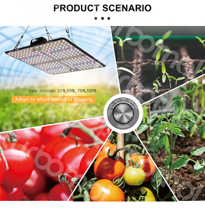TM 100W ไฟปลูกต้นไม้เต็มสเปกตรัม Led Lm301h วัตต์,<span class=keywords><strong>Samsung</strong></span> Lm301b 200ฟาร์มแนวตั้งไฮโดรโปนิกส์สำหรับบอร์ดปลูกพืชในร่ม - Product Image 4