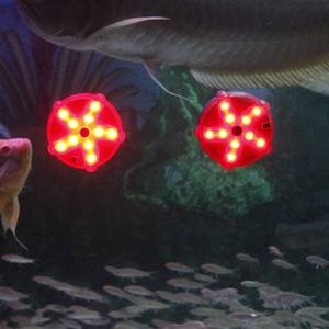 Bajo el agua sumergible LED <span class=keywords><strong>luces</strong></span> <span class=keywords><strong>a</strong></span> prueba de agua de Color de la baterí<span class=keywords><strong>a</strong></span> operado lámpara <span class=keywords><strong>para</strong></span> bañera caliente estanque piscina fuente de iluminación - Product Image 5