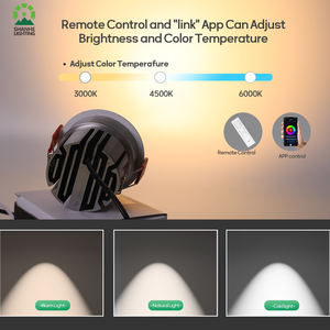 Gypse 7W 12W 18W 20W <span class=keywords><strong>Spot</strong></span> incurvé Led Cob Downlight encastré au plafond pour villa - Product Image 4