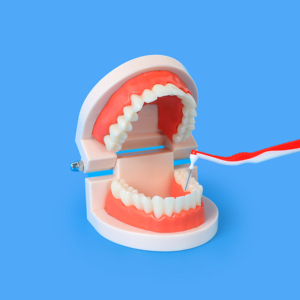 แปรง<span class=keywords><strong>ซอก</strong></span><span class=keywords><strong>ฟัน</strong></span>แบบมีมุมสำหรับ<span class=keywords><strong>ทำความ</strong></span><span class=keywords><strong>สะอาด</strong></span><span class=keywords><strong>ฟัน</strong></span> - Product Image 6