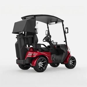 Voiturette de <span class=keywords><strong>golf</strong></span> électrique haut de gamme 3000 W, monoplace ou biplace, véhicule électrique tout-terrain, voiture électrique - Product Image 4