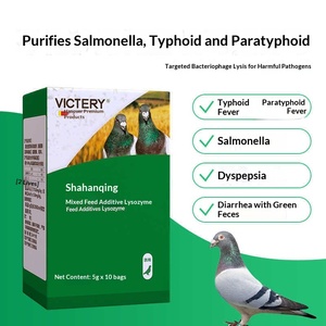 Médicament pour pigeons : Traitement des maladies bactériophages, S. aureus, Salmonella, excréments vert-jaune-blancs – Solution complète spécialisée pour pigeons de course - Product Image 4