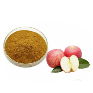 Poudre d'extrait de peau de pomme biologique de haute qualité 95% 98% Phlorizine <span class=keywords><strong>Phloretin</strong></span> approvisionnement d'usine extrait de plante naturelle - Product Image 1