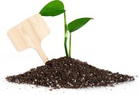 Etiquetas de plantas de madera, etiquetas de plantas de bambú tipo T ecológicas, marcadores de plantas de jardín para semillas, hierbas en maceta, flores, verduras