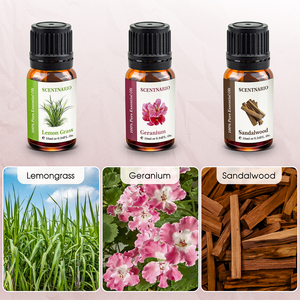 SCENTNARIO Pure <b>Essential</b> <b>Oil</b> <b>Set</b> 6 Bottles 10ml Aromatherapy Lavender Lemon Grass Peppermint Sweet Orange Geranium Sandalwood - Product Image 2