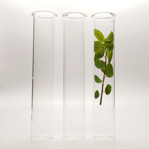<span class=keywords><strong>Tube</strong></span> <span class=keywords><strong>à</strong></span> <span class=keywords><strong>essai</strong></span> en <span class=keywords><strong>verre</strong></span> de 20ml 16x150mm <span class=keywords><strong>avec</strong></span> <span class=keywords><strong>bouchon</strong></span> en aluminium doré - Product Image 6