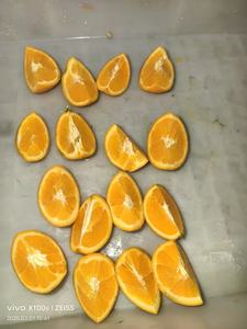 Machine à découper les fruits et légumes en tranches, machine à fendre les citrons et ananas, machine à séparer les tomates et oranges en tranches avec convoyeur - Product Image 6