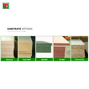 Panneaux stratifiés panneaux feuille 4X8 manteau Machine 16Mm couleurs chaudes laminé 34 <span class=keywords><strong>prix</strong></span> mélamine contreplaqué pour flight case - Product Image 3