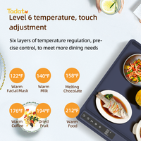 Plateau chauffant électrique à chaleur pleine surface Tapis chauffant pour aliments Tapis chauffant portable en silicone pour aliments Tapis chauffant pour aliments