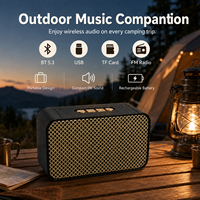 Retro Metall-Mesh BT 5.3 Lautsprecher 8W Kompakter Tragbarer Audio-Player mit TF USB FM für Reisen Großhandel OEM ODM