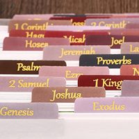 Onglets de Bible laminés avec dorure or, cadeau chrétien pour femmes, onglets de journalisation biblique faciles à lire et à appliquer