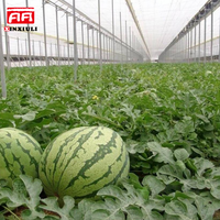 Film plastique PE EVA thermique anti-UV pour serre tunnel agricole, pour la culture de légumes et de fruits