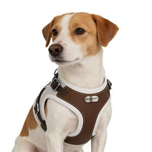 สายรัดสุนัขแบบสะท้อนแสงแบบไม่ดึงพร้อมที่จับ - เสื้อกั๊กบุนวมแบบปรับได้สำหรับการเดิน ฝึกสุนัขขนาดกลางและขนาดใหญ่ - Product Image 3