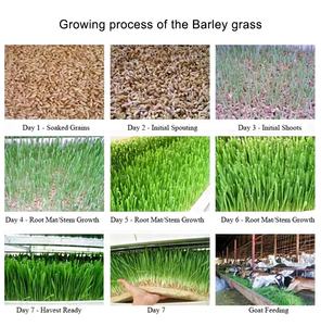 Système d'hydroponie vertical Smart Superfarm NFT Channel Indoor Farm, équipements pour la culture de fourrage en conteneur - Product Image 6