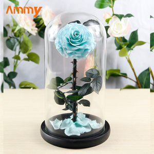 AM-PFA03 Ammy Rosa Rossa Stabilizzata Eterna, Regalo per San Valentino e Natale con Copertura in Vetro, Ideale per la Festa della Mamma - Product Image 3