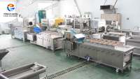 WA-1000 Hogedrukspuitreinigingsmachine voor het wassen van fruit en groenten