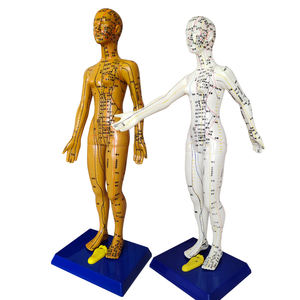 60 सेमी उत्कीर्ण मानव एक्यूपंक्चर मेरिडियन मॉडल, पारंपरिक चीनी चिकित्सा शिक्षण मॉडल - Product Image 3