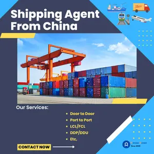 Transportador de carga marítimo de China, el más rápido, puerta a puerta, de China a EE. UU., FBA, almacén, el más vendido