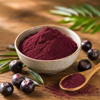 Poudre de fruit d'açaï de haute qualité, ingrédient naturel pour boisson, marque privée, faible MOQ, emballage personnalisé, vente en gros, fournisseur d'usine