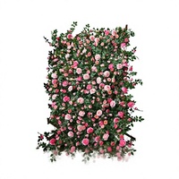 Guirlandes de fleurs artificielles en rotin, cascade de roses, décoration murale pour séances photo