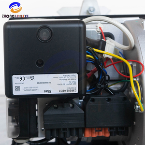 Chaudière universelle à eau chaude/vapeur 230V à brûleur à gaz FS10 de Chine, 100 000 Kcal, à simple étage, avec contrôle de la flamme, vente en gros - Product Image 6
