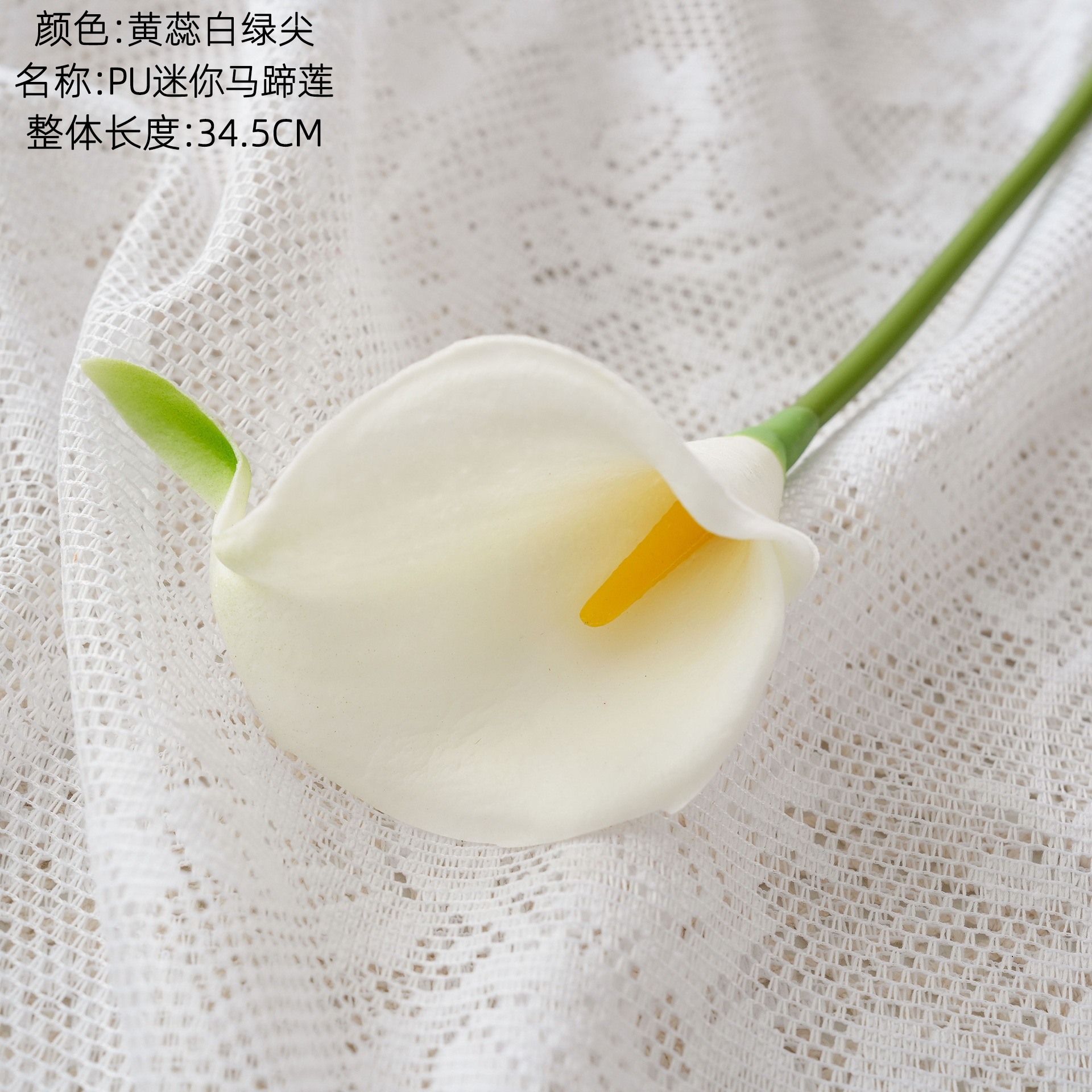 Pistil jaune, pointe blanche et verte