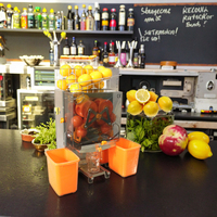 Extracteur de jus d'orange/agrumes électrique commercial certifié CE/ETL nouvelle condition automatique pour restaurants hôtels