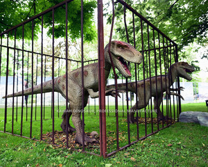 Dinosaurio animatrónico al aire libre en jaula, dinosaurio de <span class=keywords><strong>tamaño</strong></span> real, modelo animatrónico, <span class=keywords><strong>Velociraptor</strong></span> para Dino Park - Product Image 4
