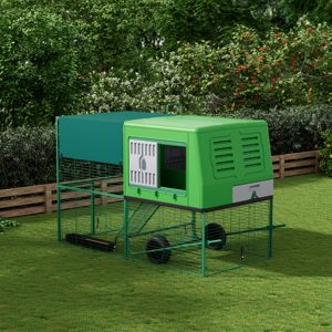 Plastik Tavuk Kümesi - Dayanıklı, Çevre Dostu, Her Mevsim İçin Lüks Tasarım - Product Image 2