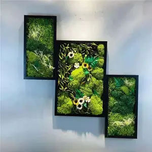 Musgo verde estabilizado para decoración de pared, venta al por mayor