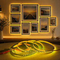 RAYMATES UL Fleksibel 16.4ft Lemon Yellow SMD 2835 120 LED/m DC12V Unit Potong 25mm Lampu Strip LED Pencahayaan Dalam Ruangan untuk Rumah