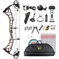 TOPOINT ARCHERY Acuity 33 Arc à poulies et flèche Paquet de base Tir à l'arc CNC Riser USA Gordon BCY String Hunting Bow Kits